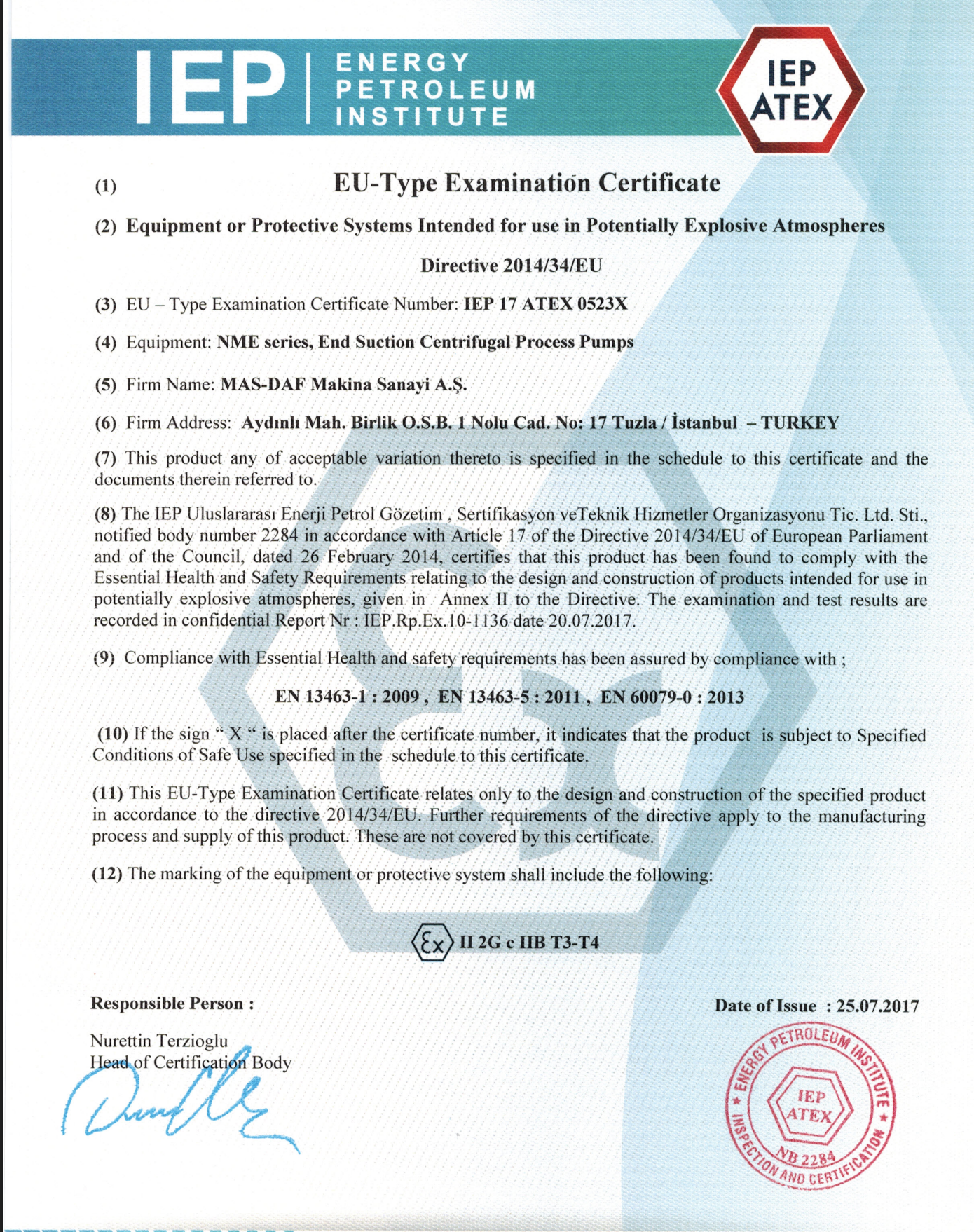 Atex Uçtan Emişli Pompa